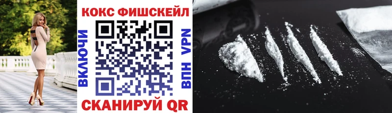 Кокаин FishScale  цены   Буйнакск 