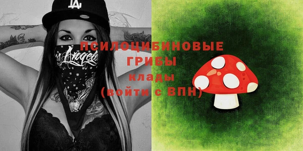 ПСИЛОЦИБИНОВЫЕ ГРИБЫ Беломорск