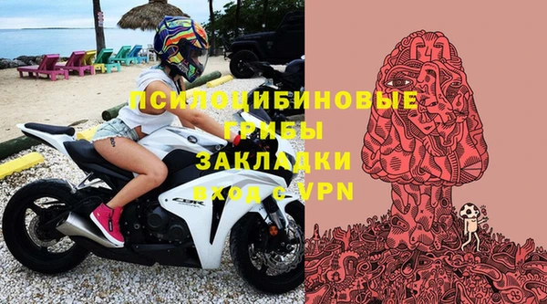 не бодяженный Белокуриха