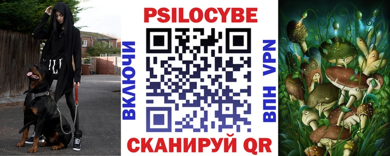 Псилоцибиновые грибы мицелий  Буйнакск 
