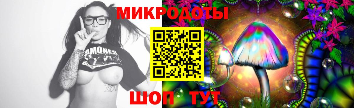 Буйнакск  Галлюциногенные грибы прущие грибы  Вход с VPN 